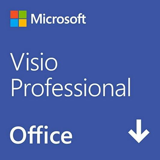 Microsoft Visio Professional 2019 永続版|ダウンロード版|Windows10|WIndows 11|1台用